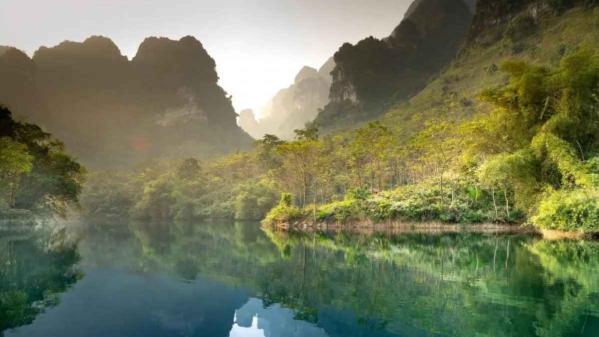 智能系统高性能全自动
